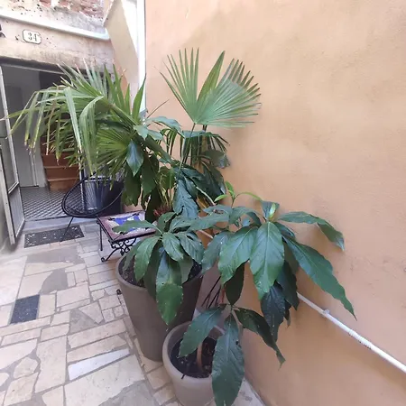 Barka Apartment